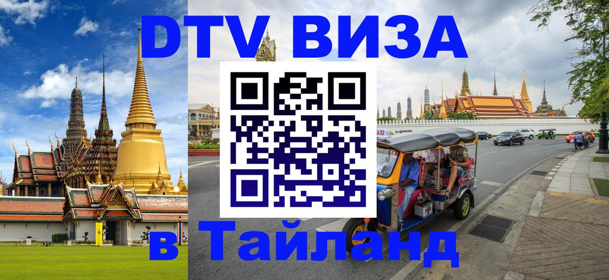 Оформление DTV визы под ключ: стоимость и тарифы, только загранпаспорт - 